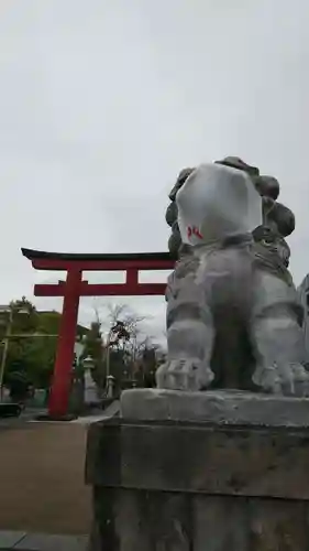 鶴岡八幡宮の狛犬