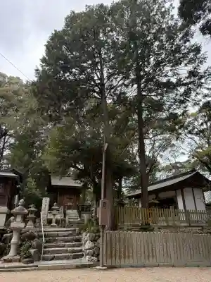 往馬坐伊古麻都比古神社の{uncategorized: "未分類", other: "その他", undefined: "問題あり", building: "その他建物", grave: "お墓", sacred_gate: "鳥居", guardian: "狛犬", statue: "像", buddha: "仏像", history: "歴史", nature: "自然", garden: "庭園", animal: "動物", pagoda: "塔", temizu: "手水舎", mountain_gate: "山門・神門", sanctuary: "本殿・本堂", subordinate: "末社・摂社", art: "芸術", scenery: "景色", jizo: "地蔵", ema: "絵馬", goshuin: "御朱印", omikuji: "おみくじ", items: "授与品その他", amulet: "お守り", goshuincho: "御朱印帳", eats: "食事", festival: "お祭り", votive_dance: "神楽", shichigosan: "七五三参", wedding: "結婚式", experience: "体験その他", initially: "初詣", around: "周辺", anti_infection: "感染症対策"}