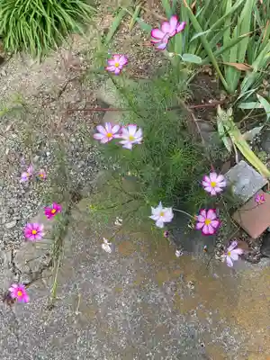 上国寺(神奈川県)