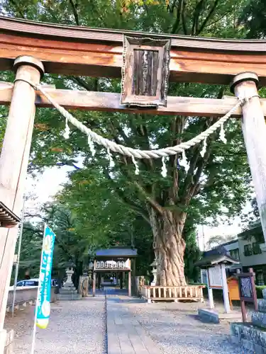 住吉神社の鳥居