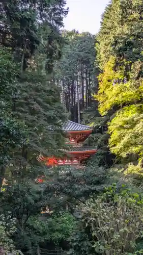 岩船寺(京都府)
