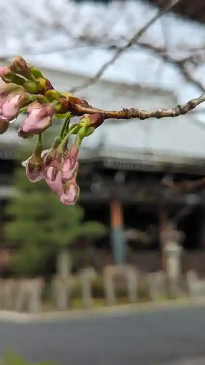 本法寺(京都府)