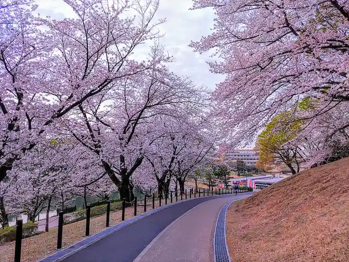木庭八幡社の周辺