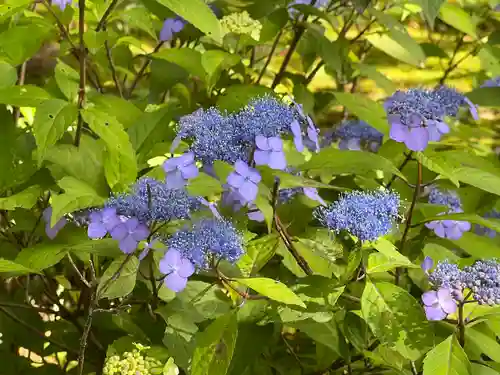 天龍寺(京都府)