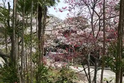 海住山寺の周辺