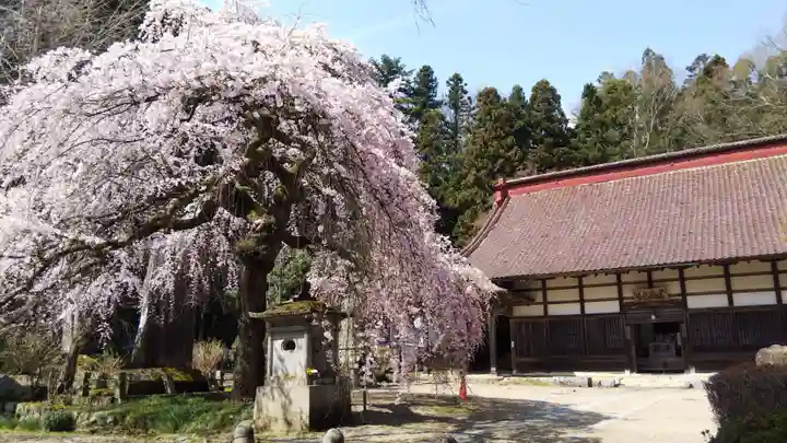 大隣寺のその他建物