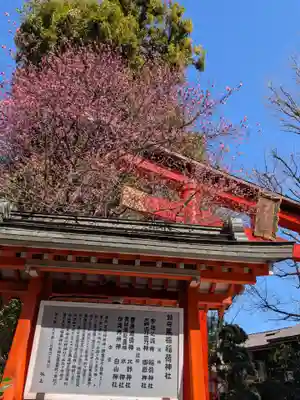 馬橋稲荷神社(東京都)