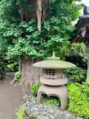 本蓮寺の庭園