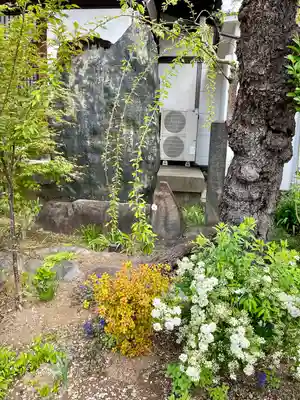 青雲寺(東京都)