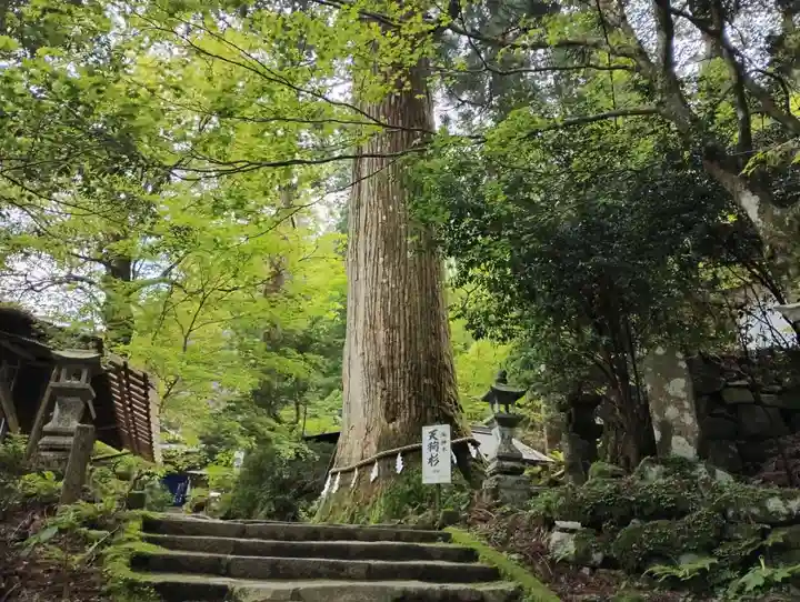 英彦山豊前坊高住神社(福岡県)