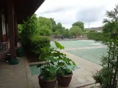 弘聖寺のその他建物