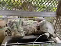 佐伎治神社(福井県)