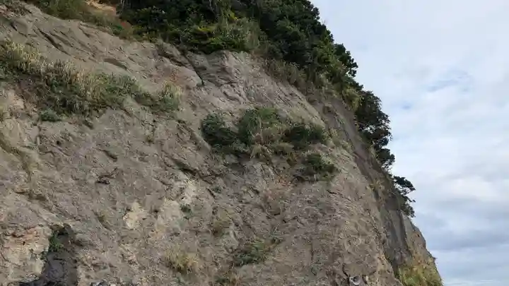 江の島岩屋の自然