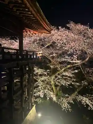 園城寺（三井寺）(滋賀県)