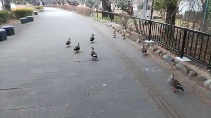 開成山大神宮(福島県)