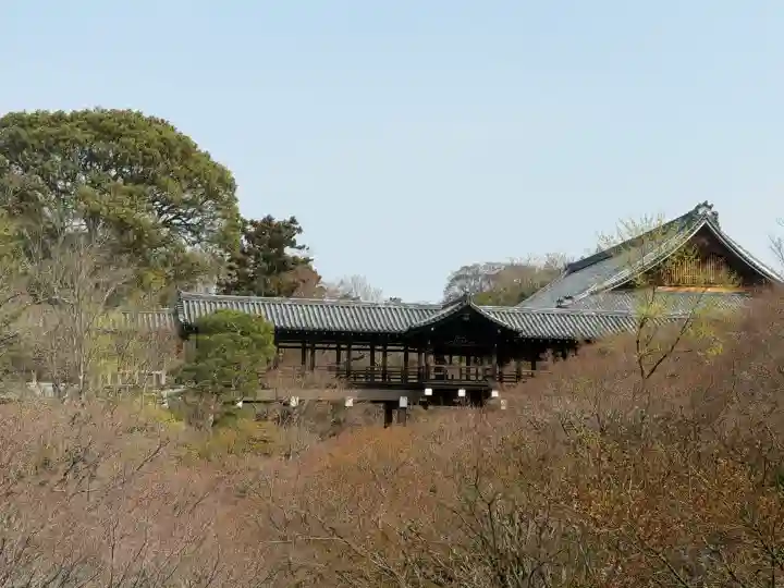 東福禅寺(東福寺)の{uncategorized: "未分類", other: "その他", undefined: "問題あり", building: "その他建物", grave: "お墓", sacred_gate: "鳥居", guardian: "狛犬", statue: "像", buddha: "仏像", history: "歴史", nature: "自然", garden: "庭園", animal: "動物", pagoda: "塔", temizu: "手水舎", mountain_gate: "山門・神門", sanctuary: "本殿・本堂", subordinate: "末社・摂社", art: "芸術", scenery: "景色", jizo: "地蔵", ema: "絵馬", goshuin: "御朱印", omikuji: "おみくじ", items: "授与品その他", amulet: "お守り", goshuincho: "御朱印帳", eats: "食事", festival: "お祭り", votive_dance: "神楽", shichigosan: "七五三参", wedding: "結婚式", experience: "体験その他", initially: "初詣", around: "周辺", anti_infection: "感染症対策"}