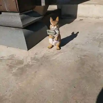 日蓮宗 総本山 塔頭 定林坊(じょうりんぼう)の狛犬