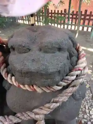 浅草神社の狛犬