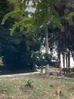 若年神社(兵庫県)