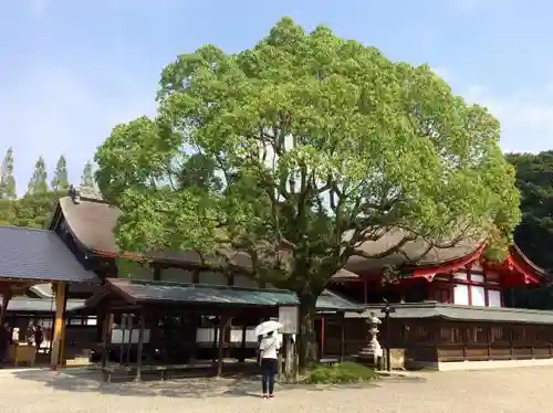 宗像大社の建物その他