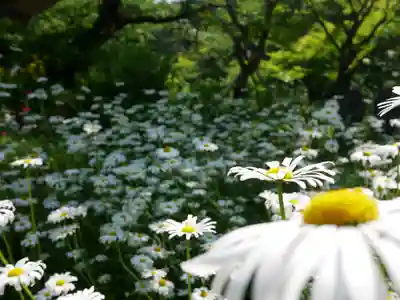 青龍山 吉祥寺(群馬県)