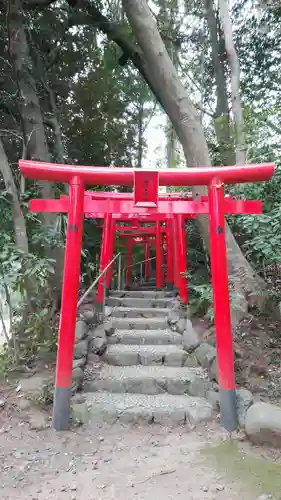 白笹稲荷神社の鳥居