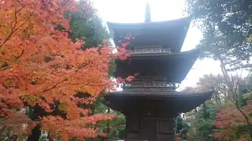 豪徳寺の塔