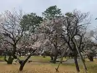 白山神社(新潟県)