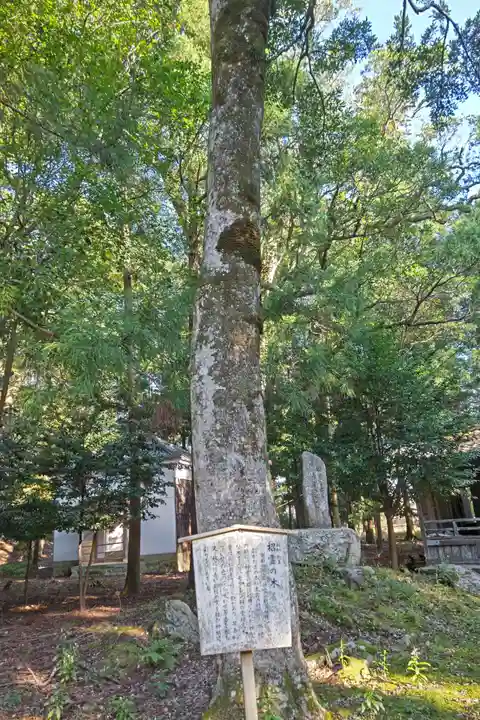 若狭姫神社(若狭彦神社下社)(福井県)