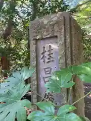 桂昌庵(神奈川県)