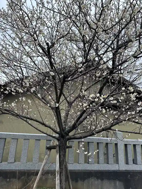 廣田神社(富山県)