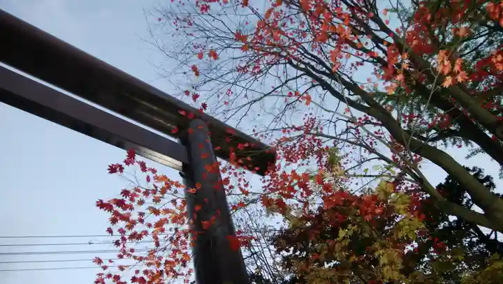 北広島市総鎮守 廣島神社の鳥居