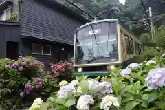 御霊神社の周辺