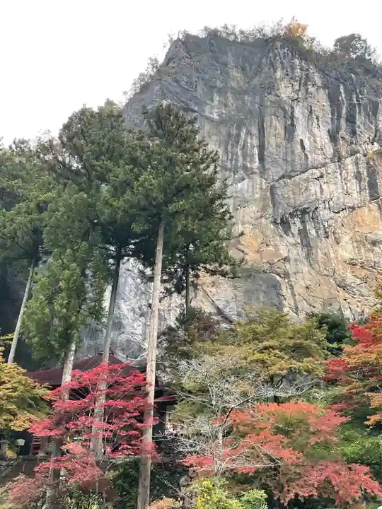 橋立堂(埼玉県)