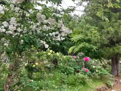 妙雲寺(栃木県)