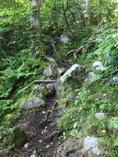 太田山神社（本殿）のその他建物