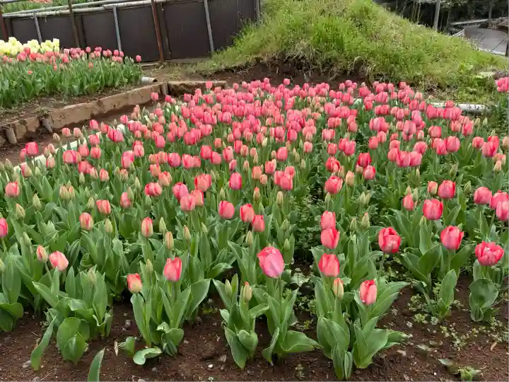 泉蔵寺(神奈川県)