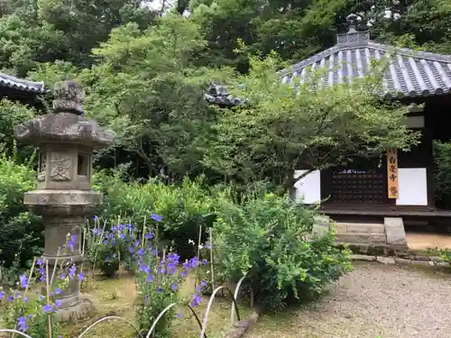 白毫寺の庭園