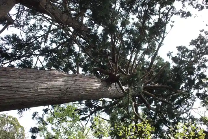 鳥海山大物忌神社吹浦口ノ宮(山形県)