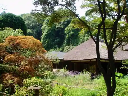 浄智寺の庭園