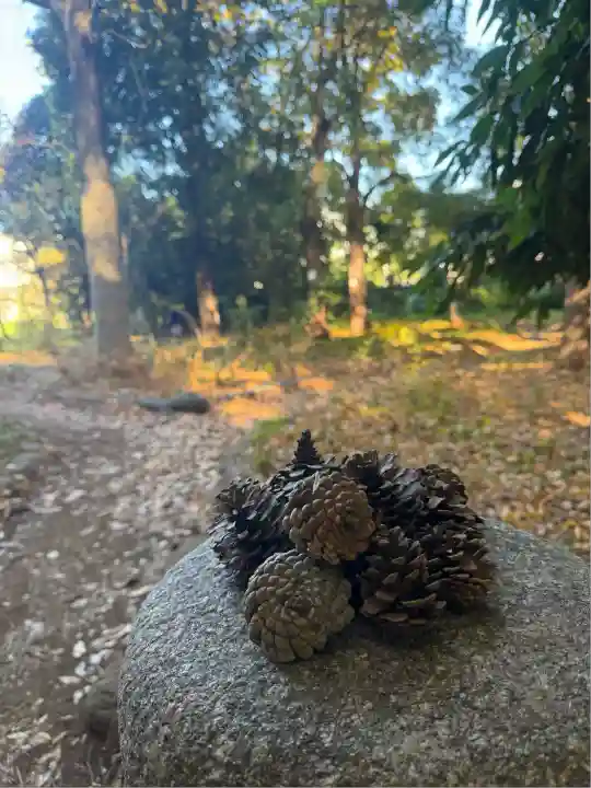 布多天神社(東京都)