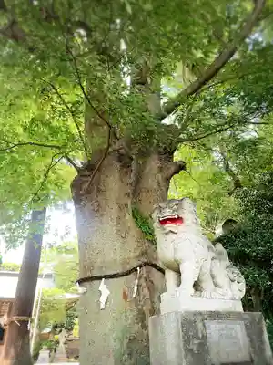 比々多神社(神奈川県)