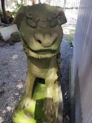 菟橋神社の狛犬