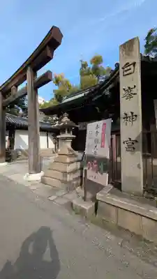 白峯神宮(京都府)