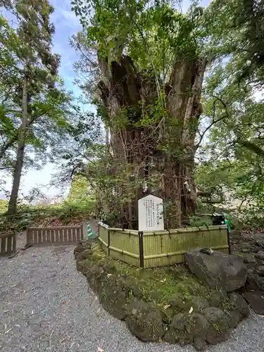 白髭神社(熊本県)