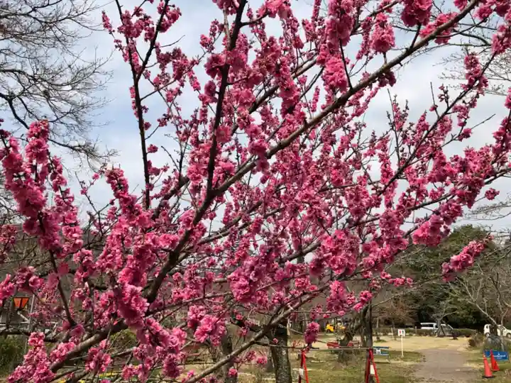 桃太郎神社(栗栖)の自然