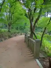 柳谷観音　楊谷寺(京都府)