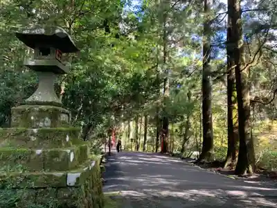 箱根神社のその他建物