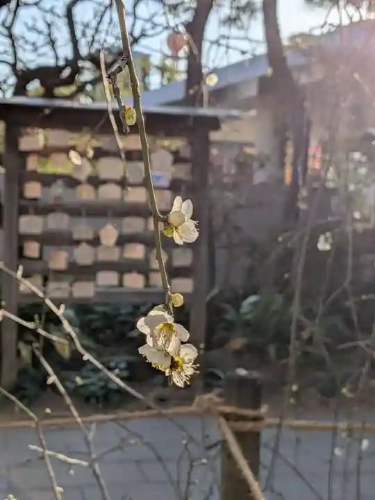 鳩森八幡神社(東京都)