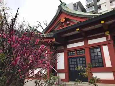 東神奈川熊野神社の本殿・本堂